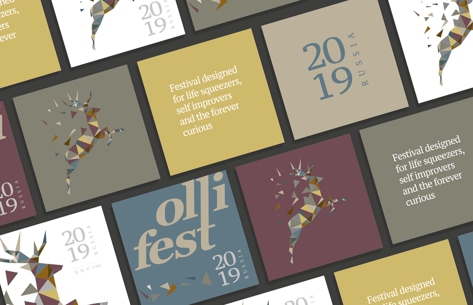 Ollifest — visual 8