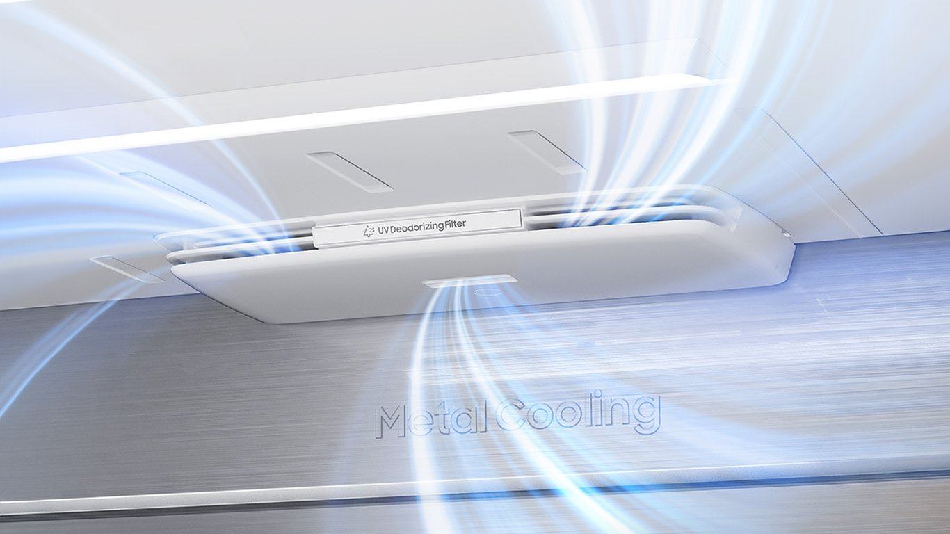 Bespoke Refrigerator Establishing the visual system