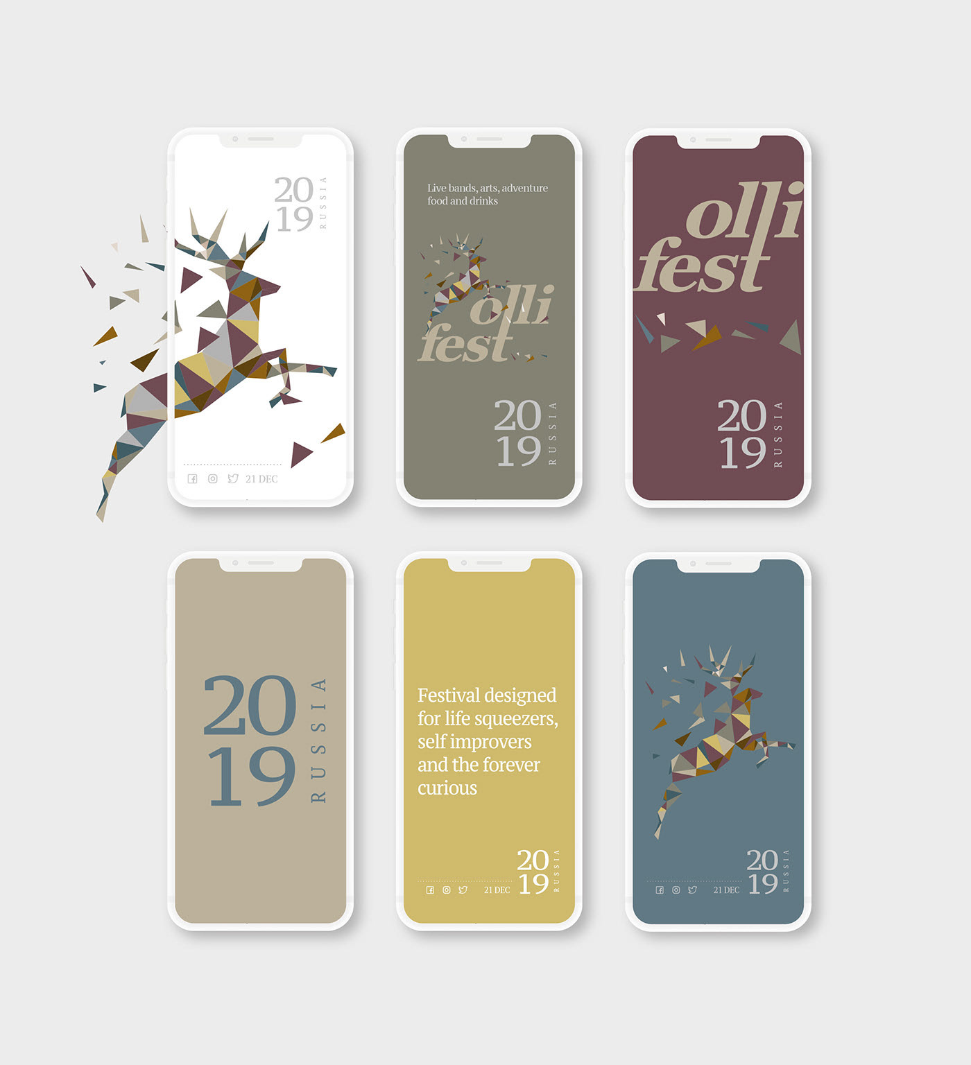 Ollifest — visual 7